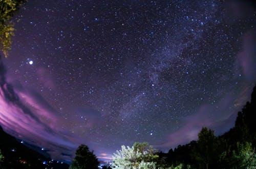 Wide Angle Photo of a Night Sky with Stars