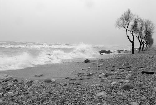 Základová fotografie zdarma na téma abruzzi, adriatica, alba