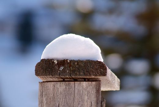 Detailed close-up of a snow-topped wooden post in winter sunlight.