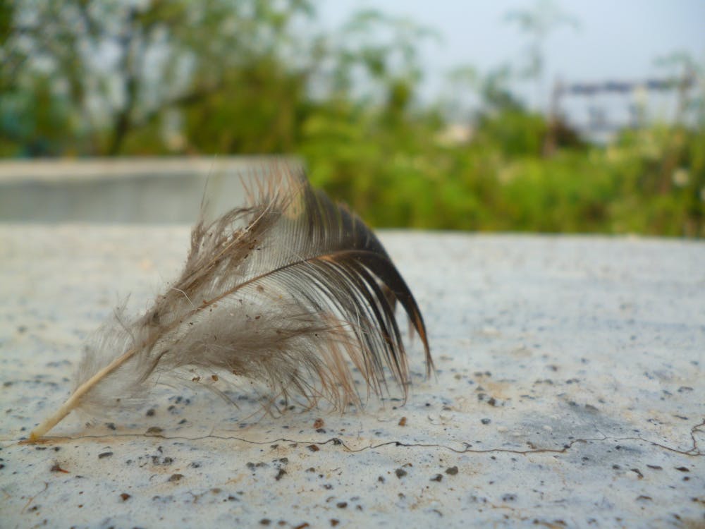 Lago del Oeste en Hangzhou