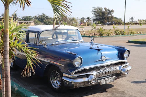 Vintage Car under a Palm Tree 