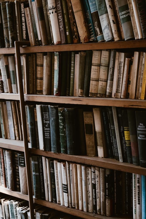 Free Old Book on the Shelves  Stock Photo