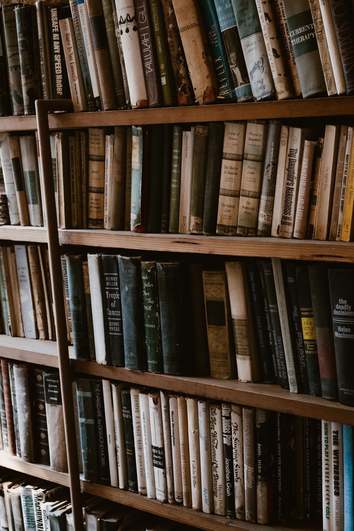 Bookshelves 43 Photos & Videos Collected by Lisa from Pexels