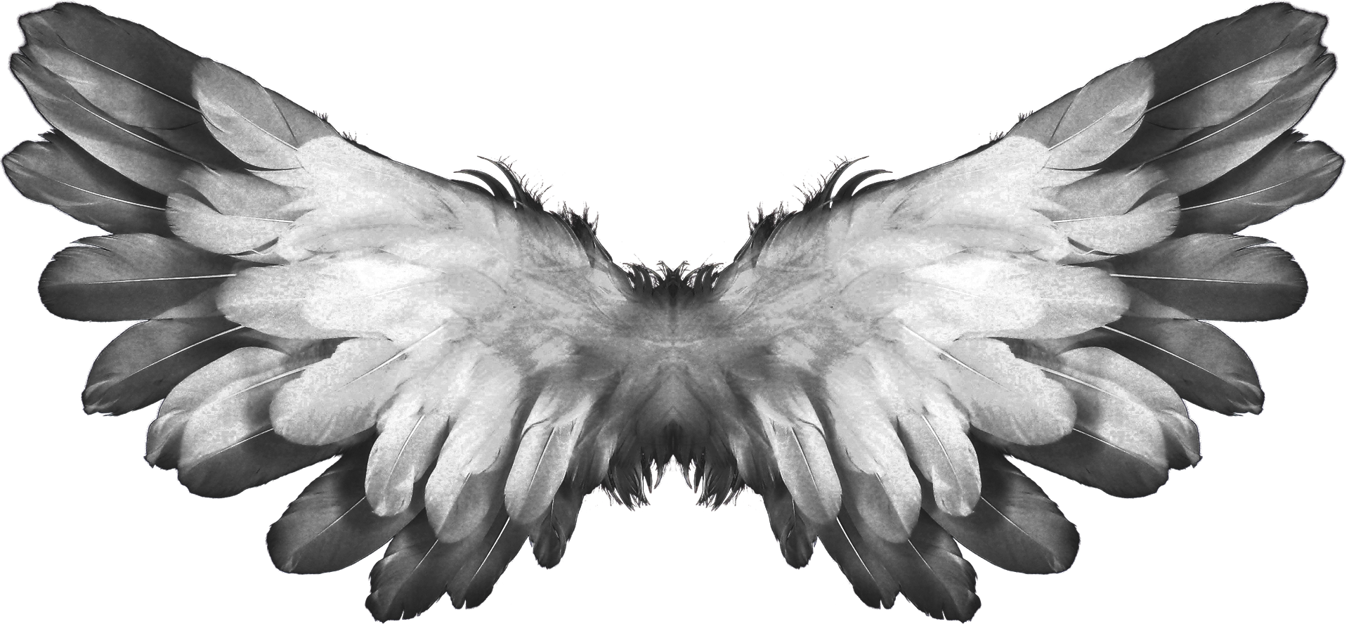 Download Free stock photo of angel, angel wings, angelic