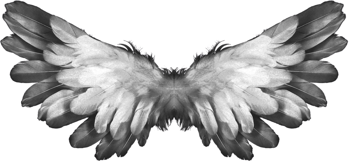 Download Free stock photo of angel, angel wings, angelic