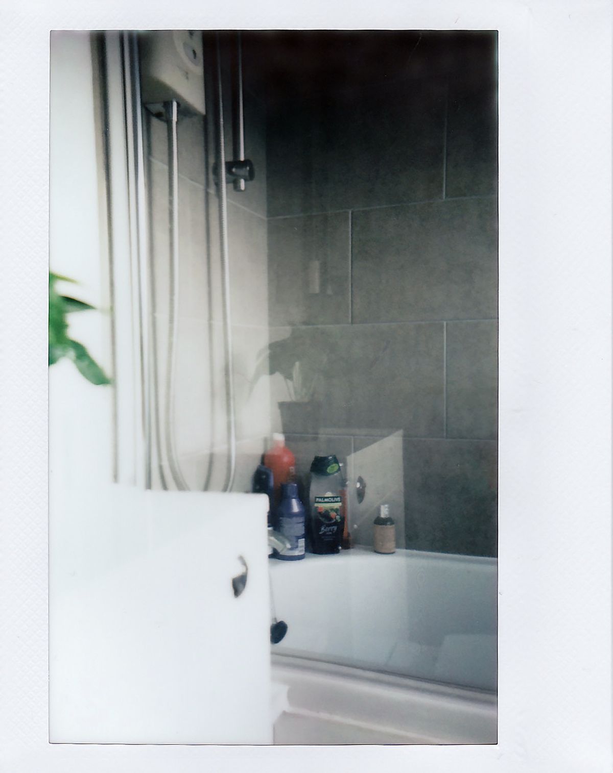 Modern bathroom with a glass shower enclosure and tiled walls