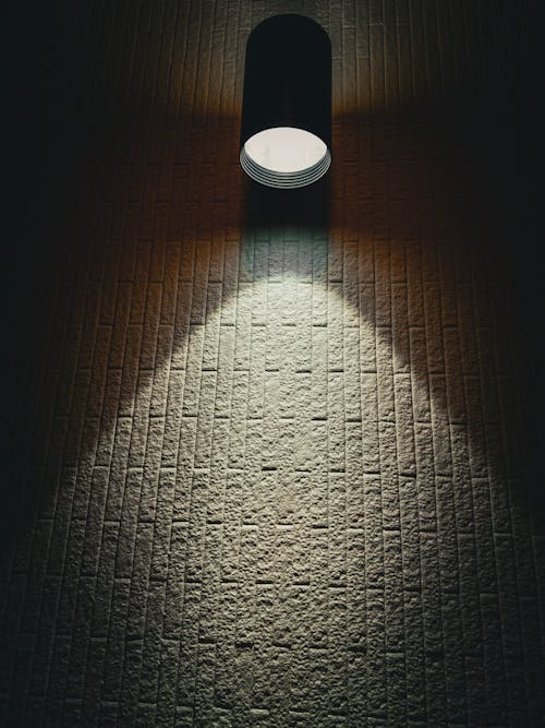 ampul, ışığa karşı, kara melek içeren Ücretsiz stok fotoğraf