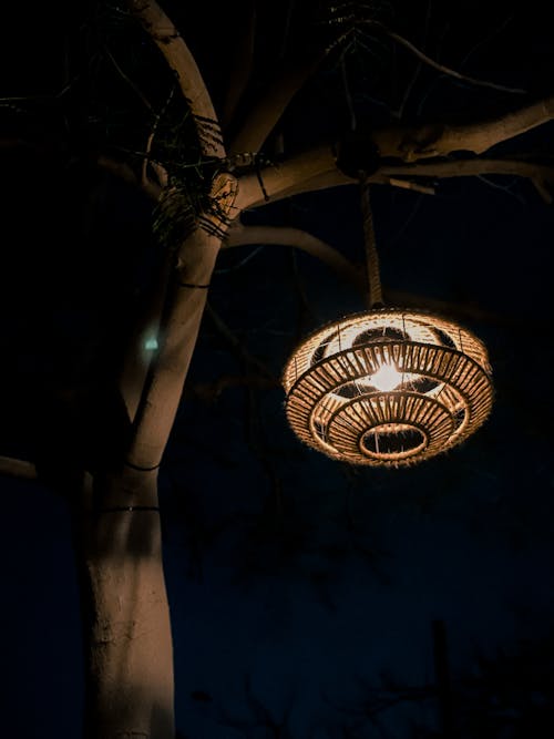 A Lantern Hanging on a Tree Branch at Night
