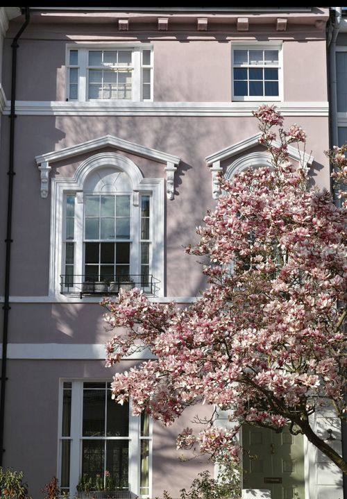 Free Charming urban residential building with spring blossoms. Stock Photo