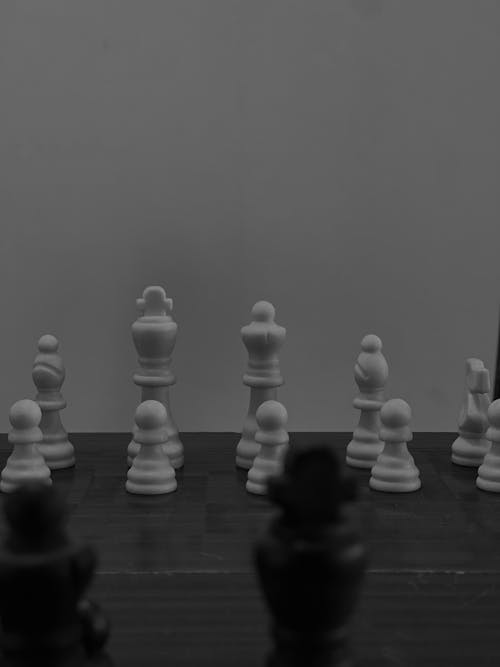 Chess in Black and White