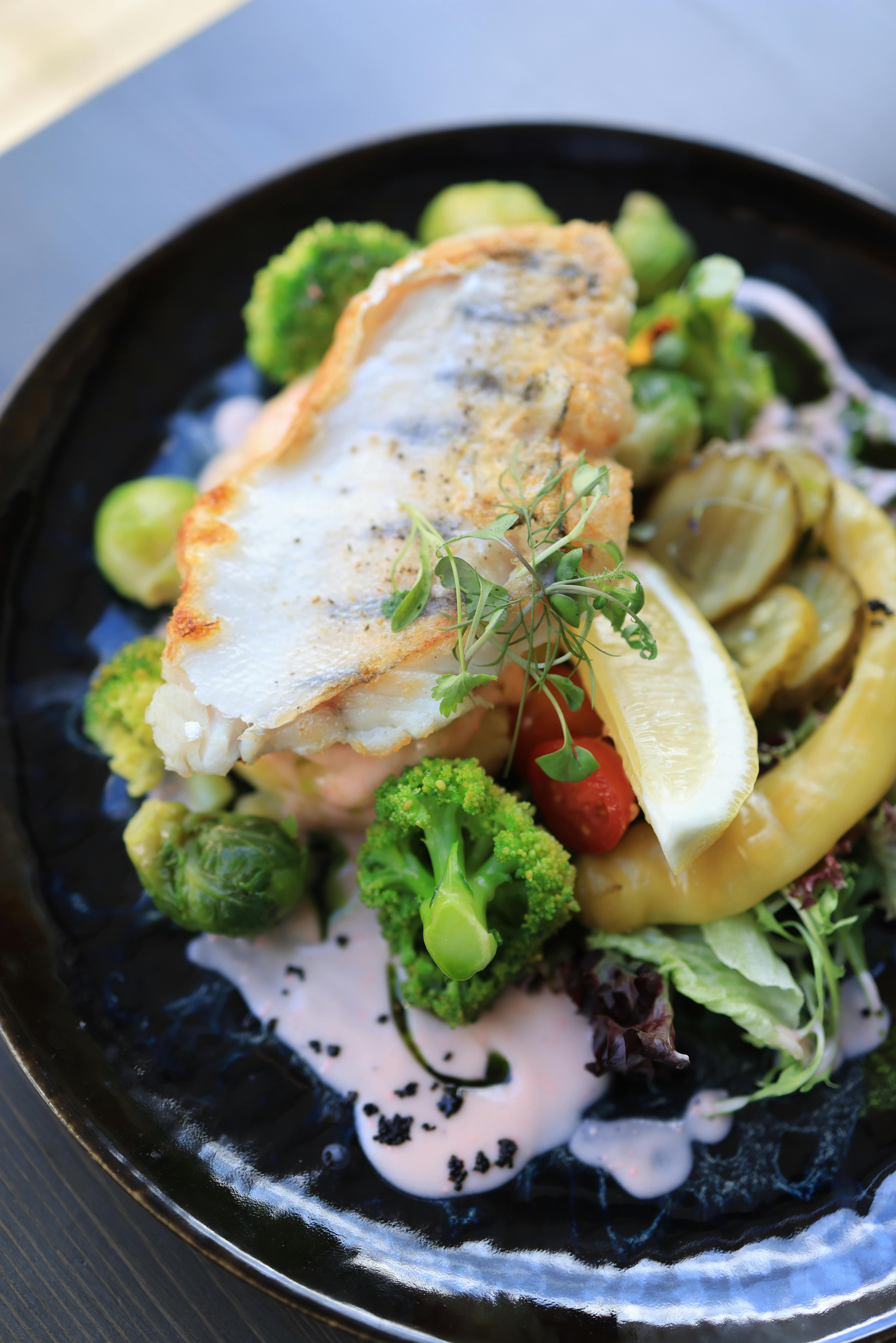 Fish with Broccoli · Free Stock Photo