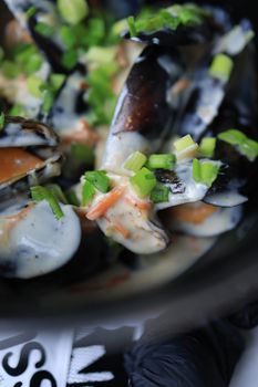 Mussels (Mydia)