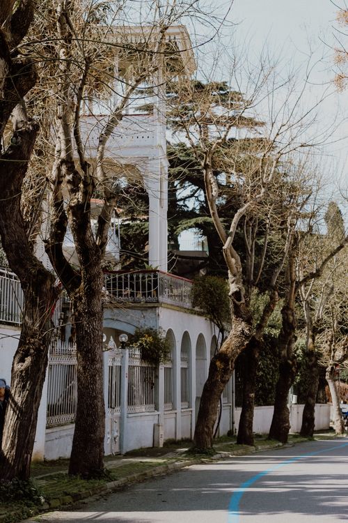 Free Elegant villa lined with bare trees on an urban street, creating a serene landscape. Stock Photo