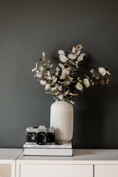 Elegant still life featuring a camera and eucalyptus in a vase on stacked books.