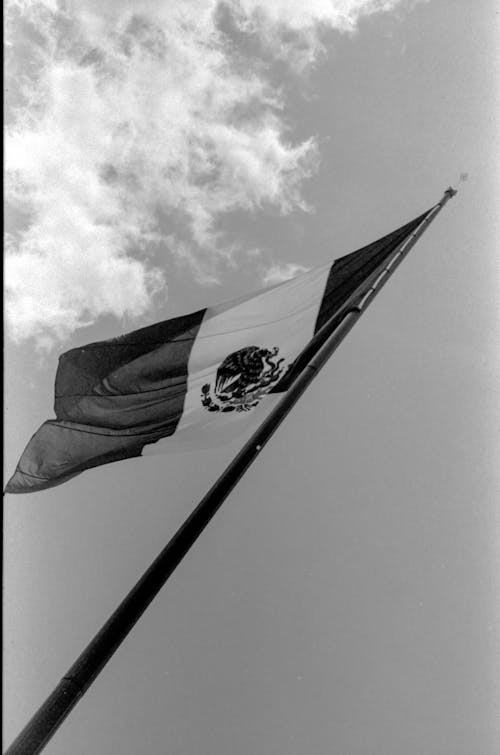 Low Angle Shot of the Mexican Flag on a Flagpole 