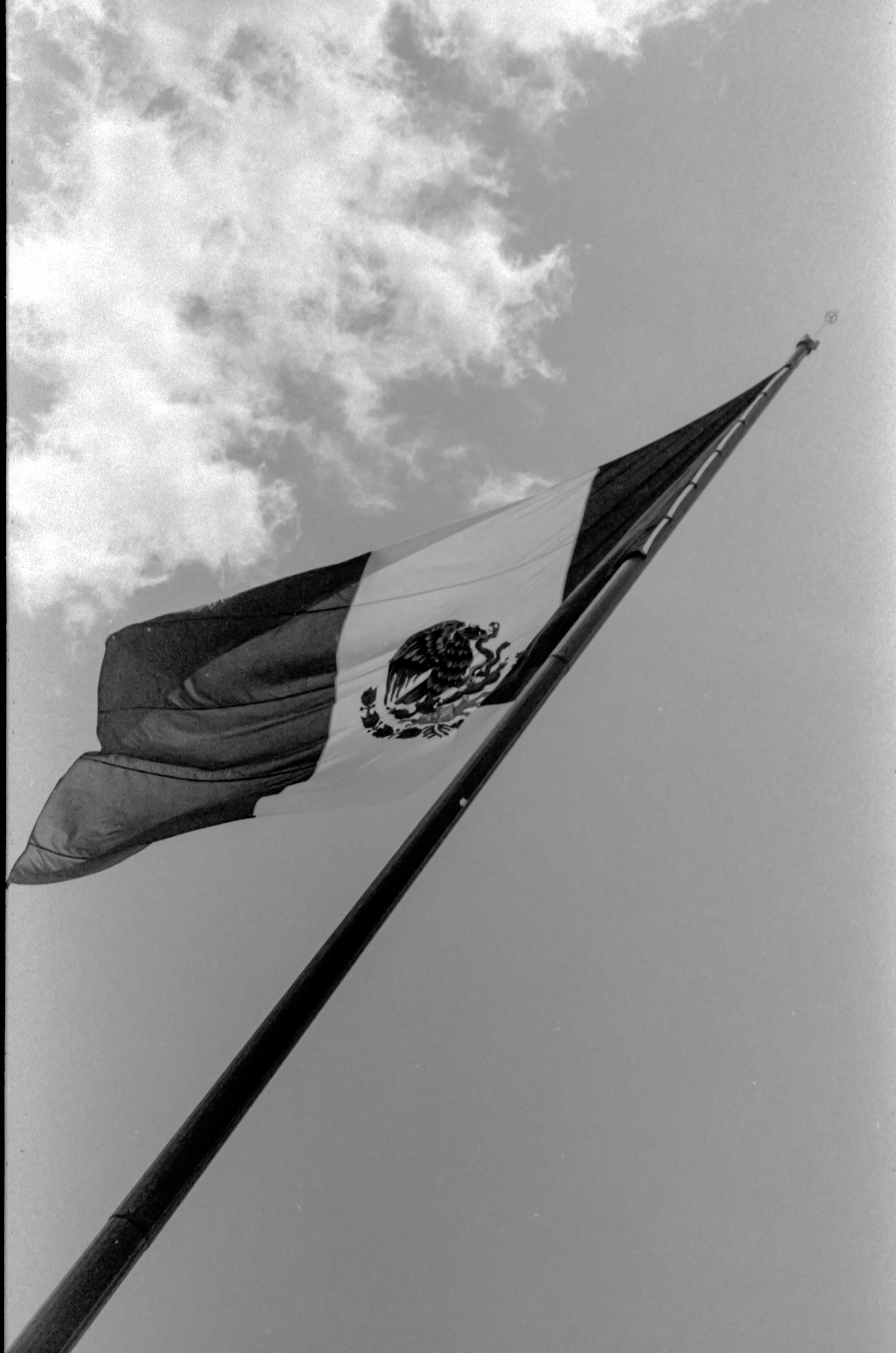 Mexican Flag Photos, Download The BEST Free Mexican Flag Stock