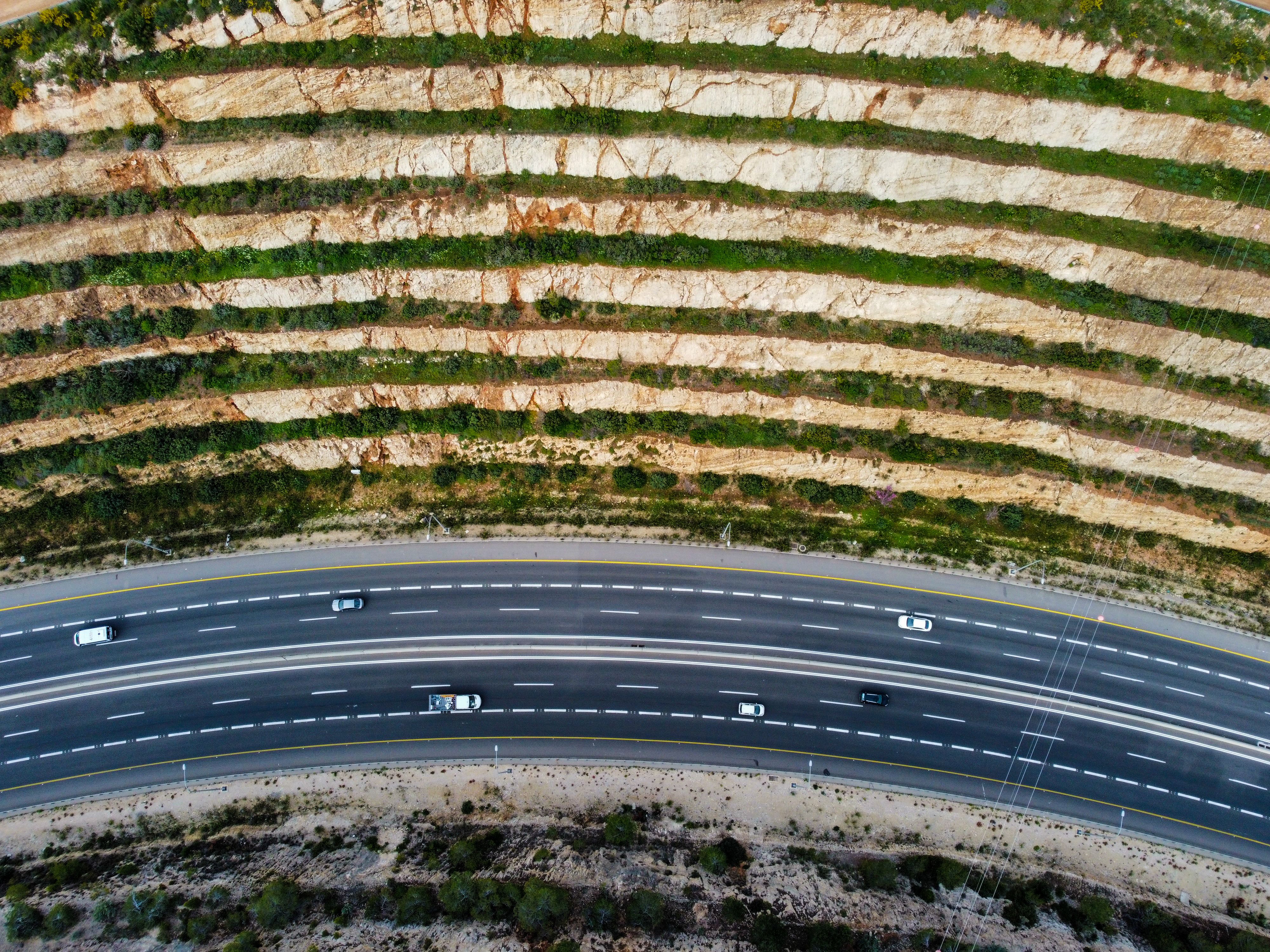 Roads and dams put European eels at risk, scientists offer strategy to save them