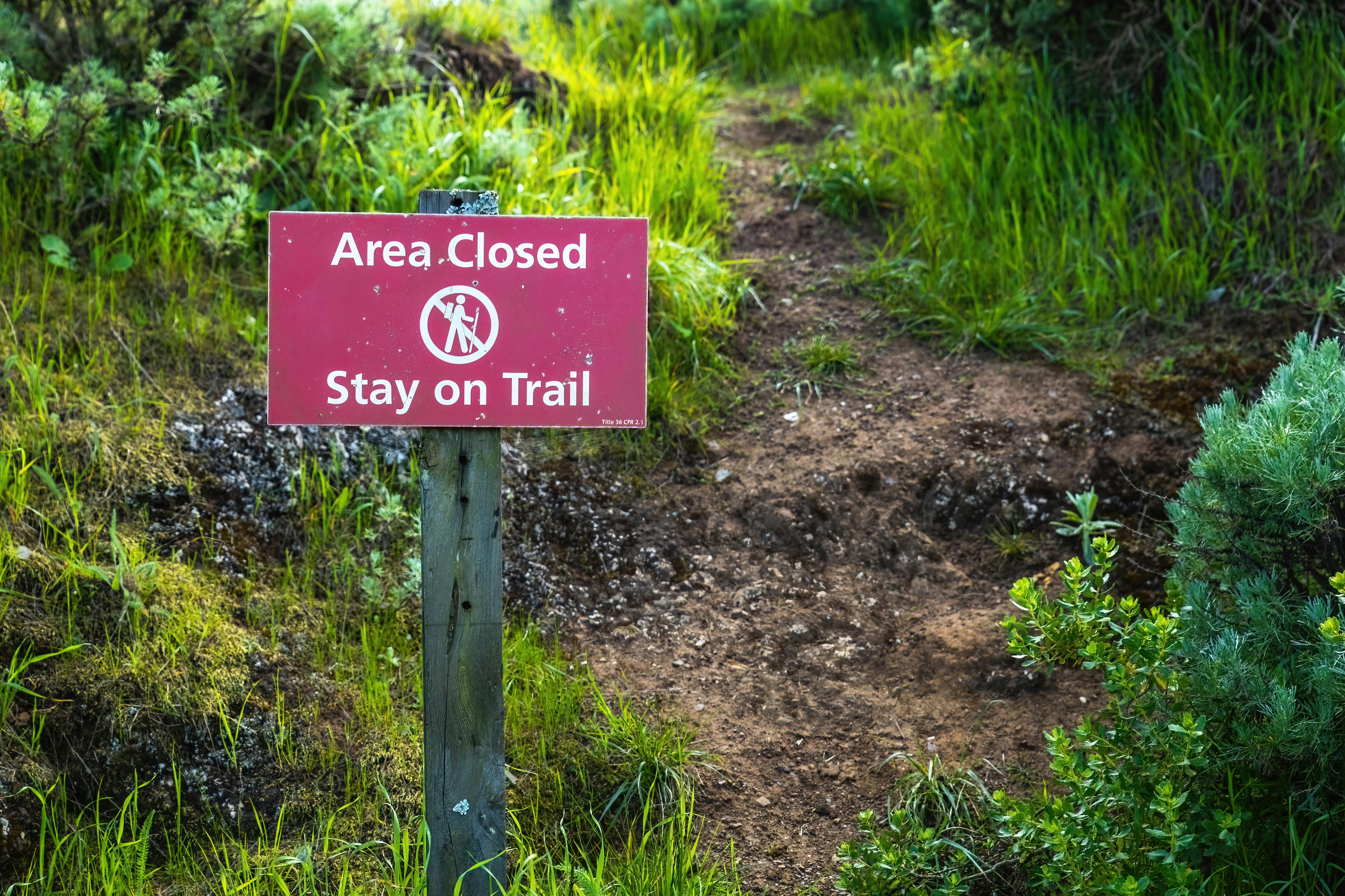 In a Warning Shot, Oregon Insurance Regulators Oust Alternative Health Plan From the State — Photo by Robert So on Pexels