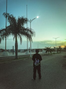 A person walks on a road lined with palm trees at sunset, creating a tranquil scene.