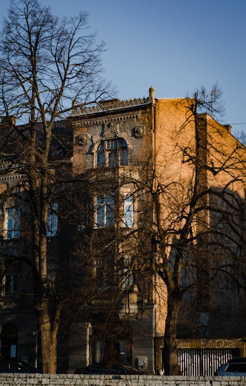 Gratis stockfoto met baksteen, bomen, gebouw