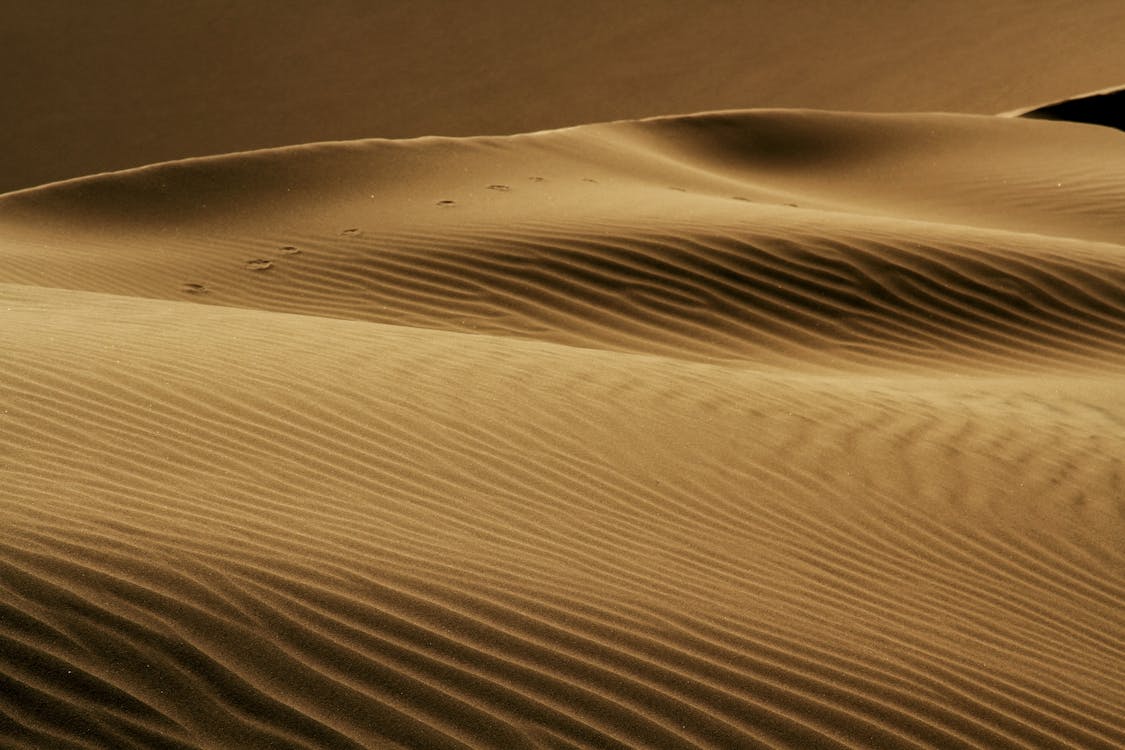 Foto d'estoc gratuïta de àrid, desert, dunes