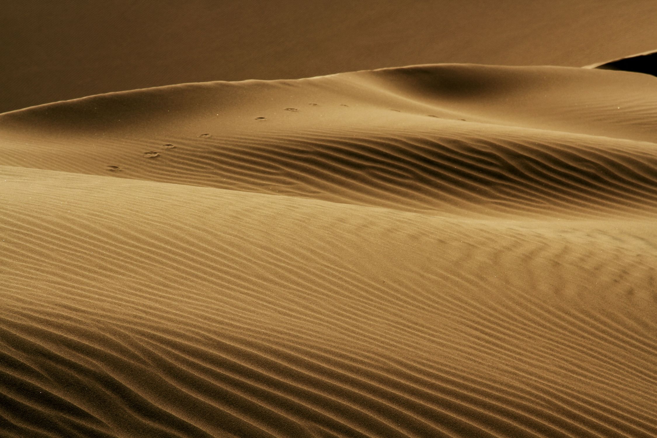 Dessert Ripples Ripples in Desert · Free Stock Photo