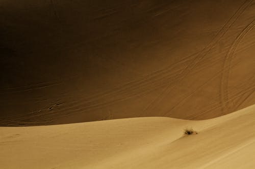 Kostenloses Stock Foto zu dürr, landschaft, sand