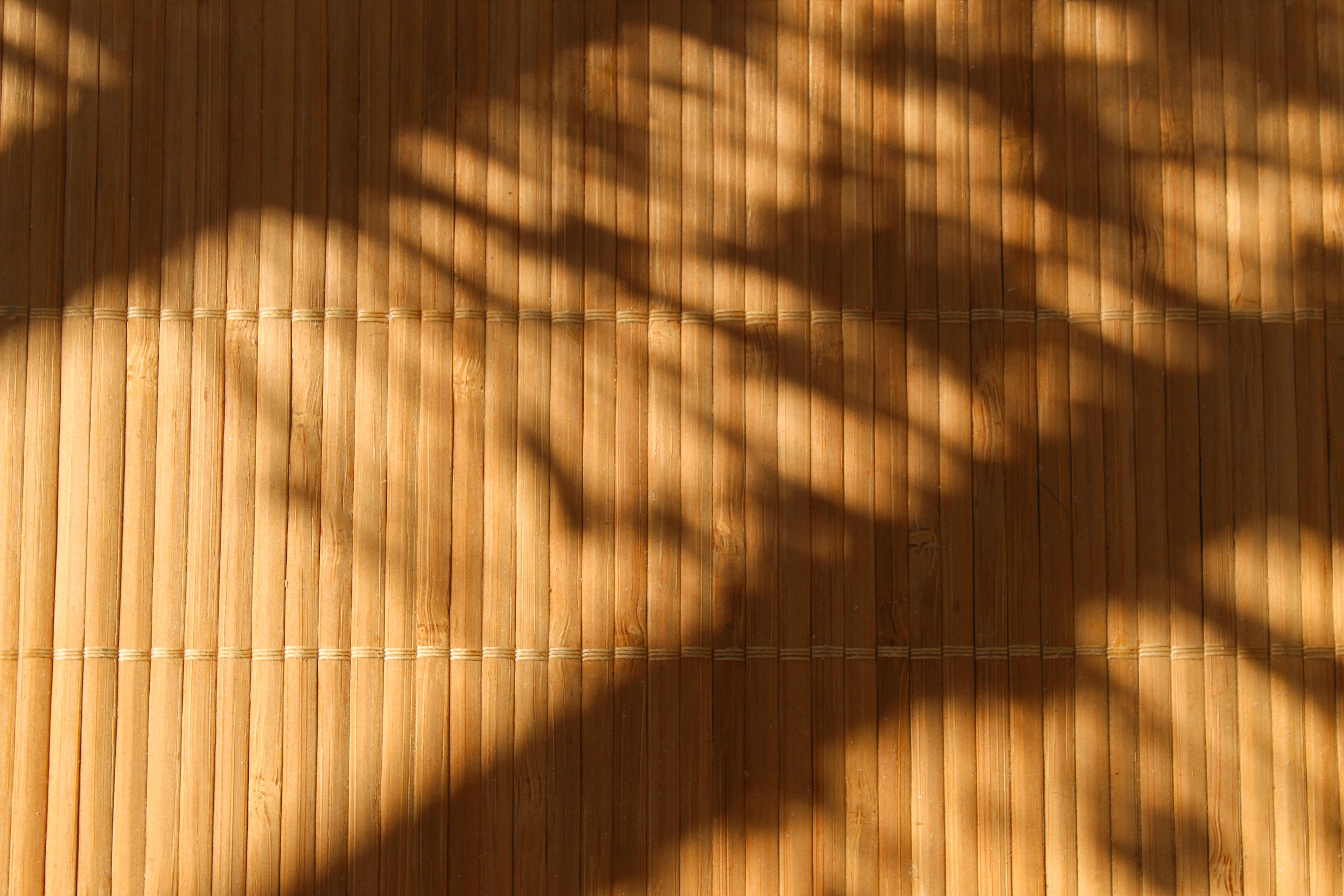 Tree Shadows on Wall · Free Stock Photo