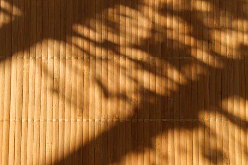 Free Warm shadows of leaves on a bamboo wall create a serene natural pattern. Stock Photo