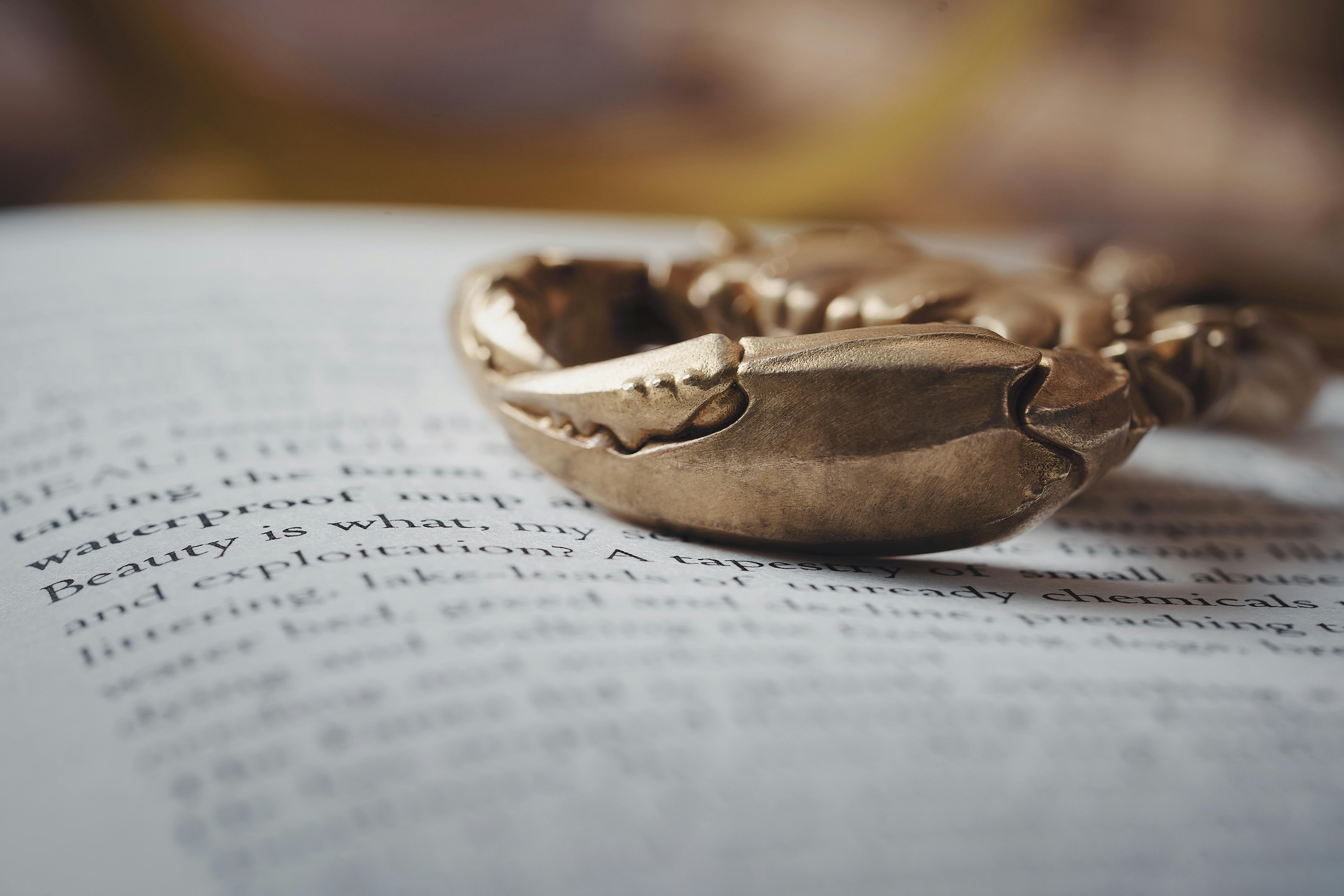 Elegant golden crab-shaped jewelry on an open book page, highlighting intricate design.