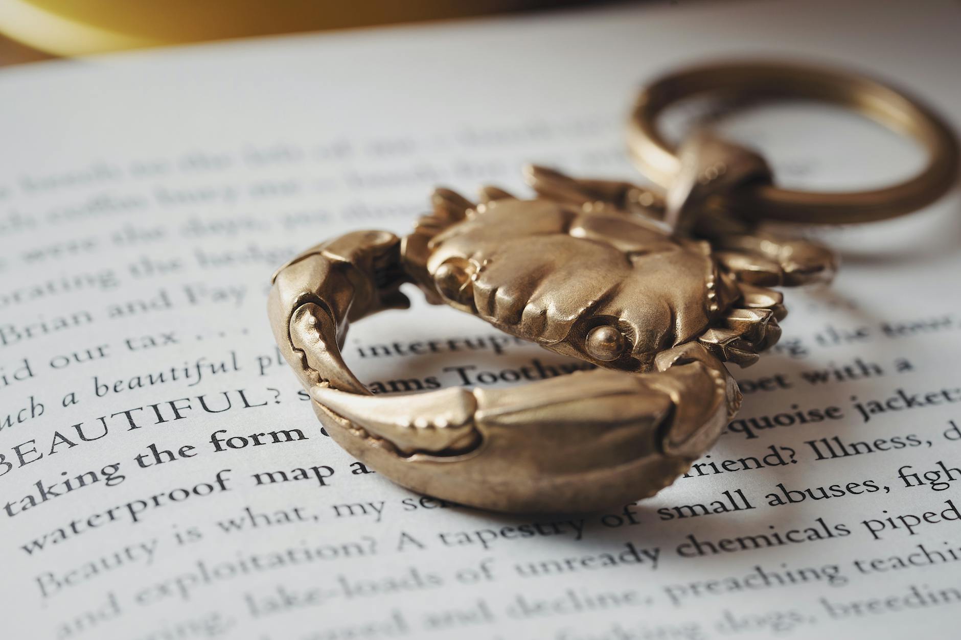Golden Crab Shape Key Ring on a Book 