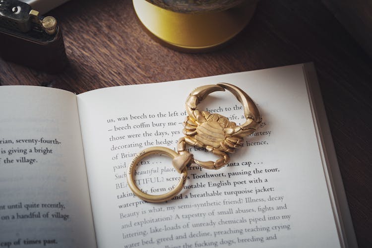 Golden Keychain On Book Page