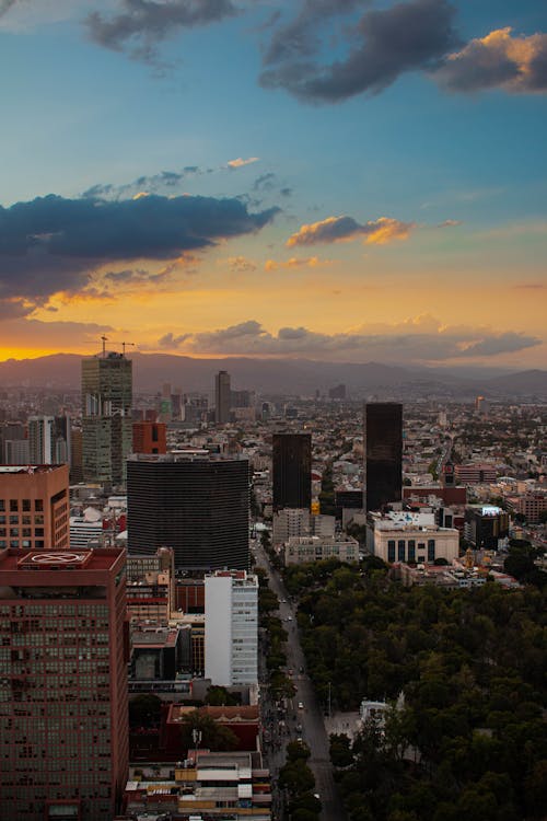 垂直拍摄, 墨西哥, 墨西哥城 的 免费素材图片