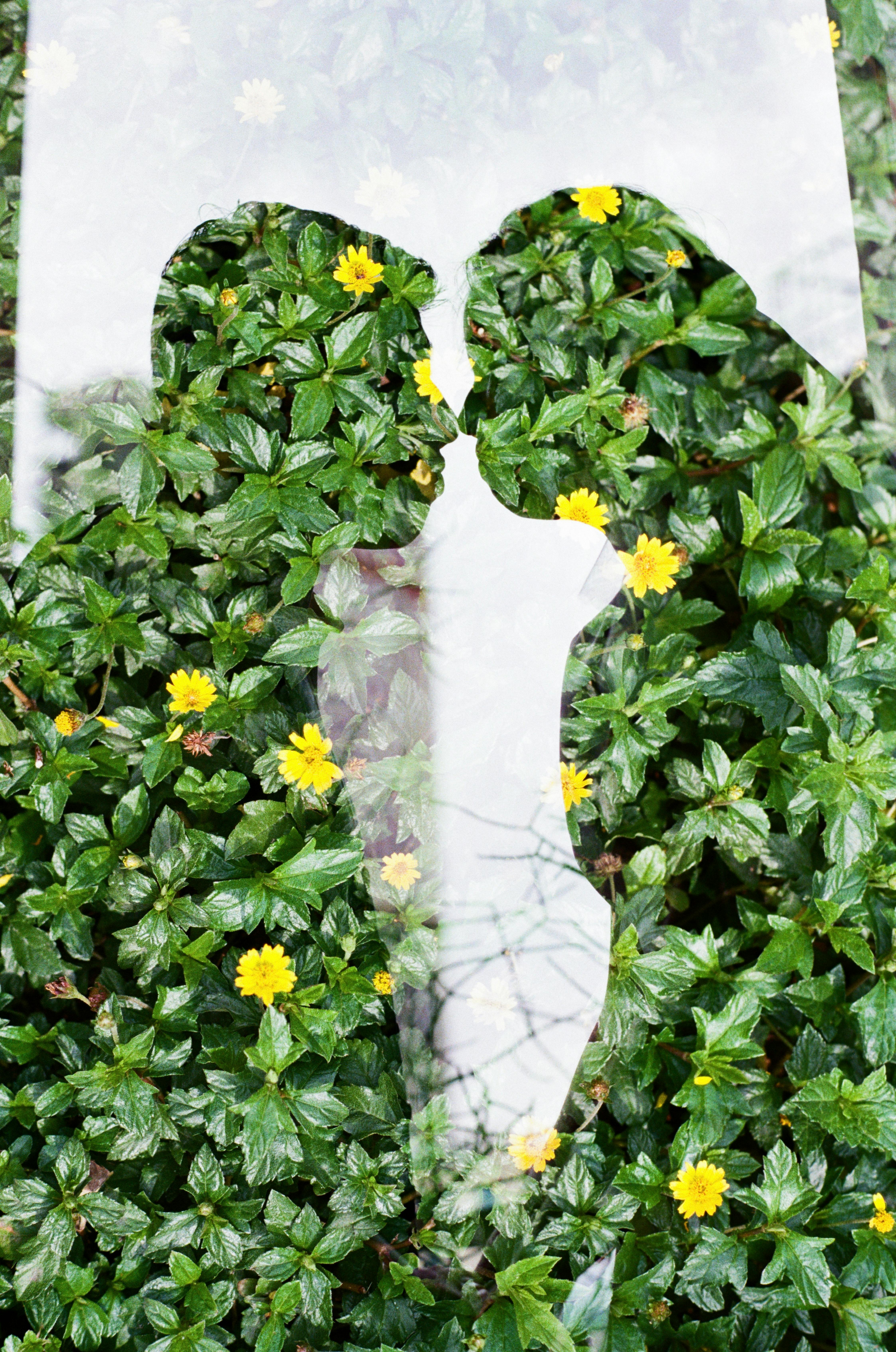Artistic double exposure of couple silhouette over vibrant green leaves and yellow flowers.