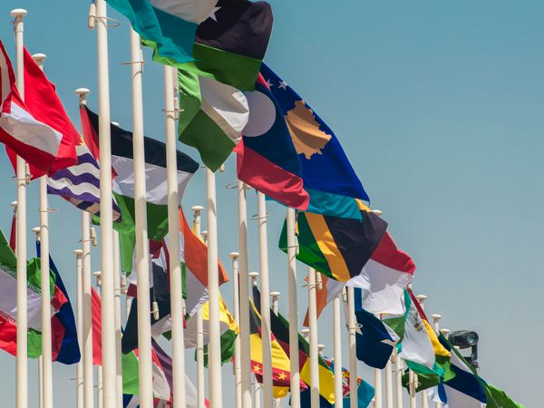 Table Flags, image 3 of 4