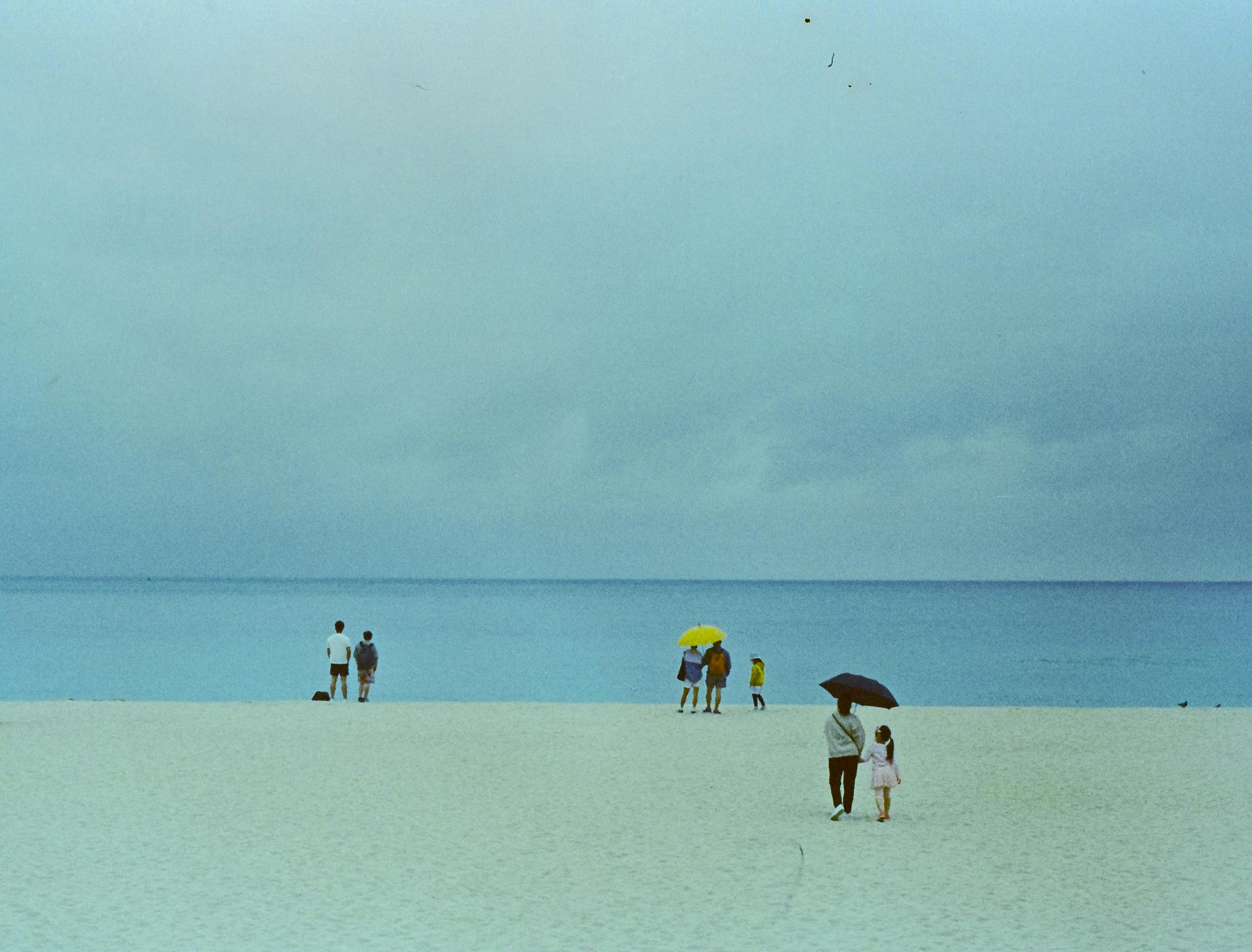 free-photo-of-people-on-beach.jpeg?auto\u003dcompress\u0026cs\u003dtinysrgb\u0026dpr\u003d1\u0026w\u003d500