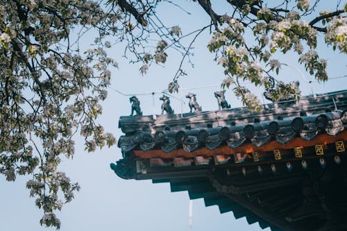 佛教徒, 寺廟, 屋頂 的 免费素材图片