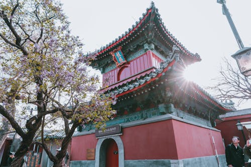 ağaçlar, budist tapınağı, çatı içeren Ücretsiz stok fotoğraf