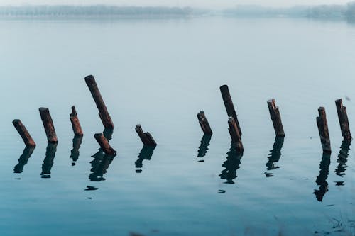göl, paslı, sis içeren Ücretsiz stok fotoğraf