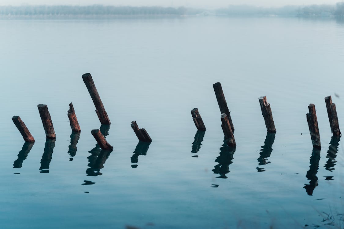 Foto d'estoc gratuïta de aigua, boira, llac