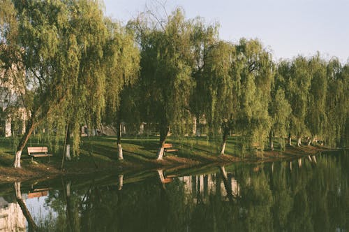 Ingyenes stockfotó evez, park, szabadidő témában