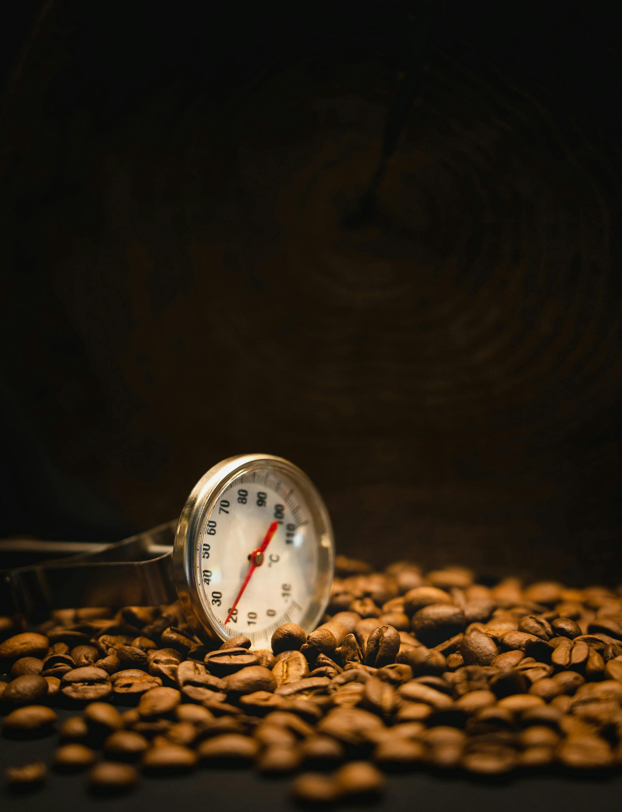 7 Signs Your Meat Thermometer Needs Replacing: Don't Let a Faulty Tool Ruin Your Next Meal