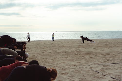 Foto profissional grátis de academia de ginástica, exercício, malhar na praia