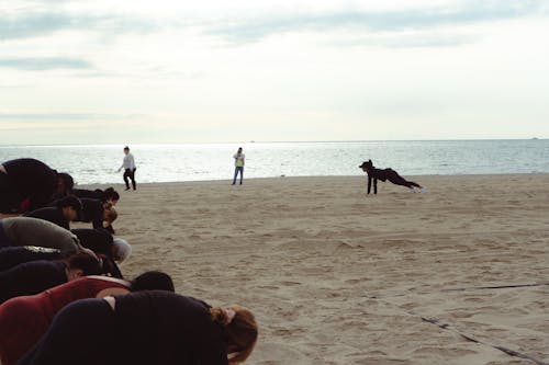 Free stock photo of beach work out, gym, workout