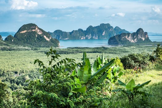 Phuket, Thailand photo 6