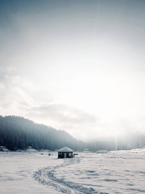 Cabin in Winter Countryside near Forest