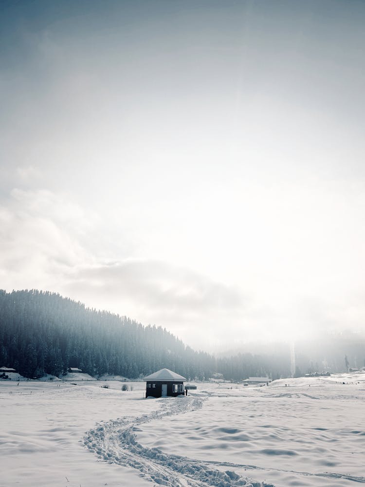 Cabin In Winter Countryside Near Forest