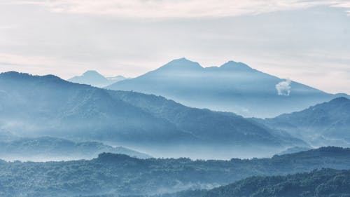 Foto stok gratis bergulir, hutan, indah