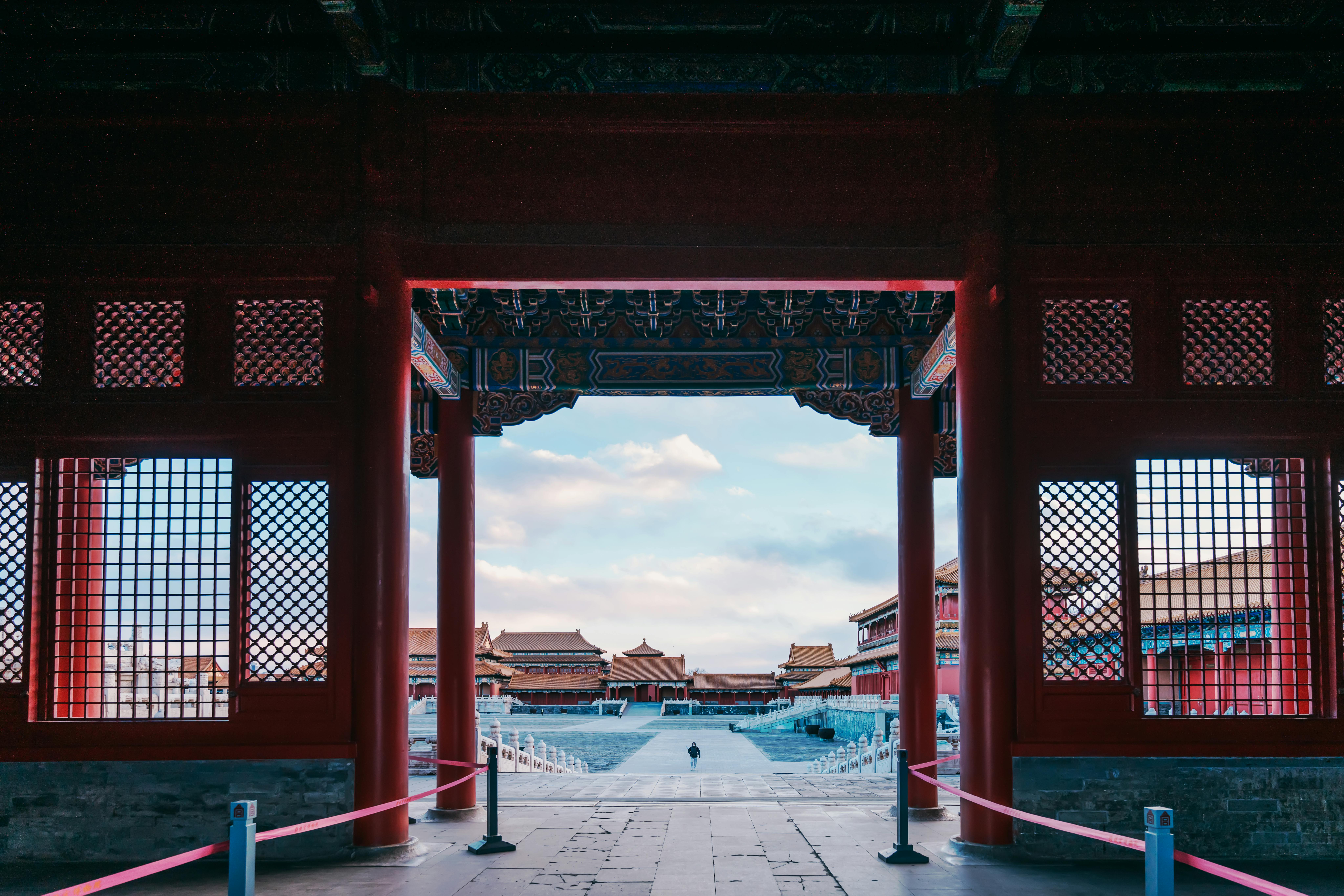 beijing pet technology — Photo by zhang kaiyv on Pexels