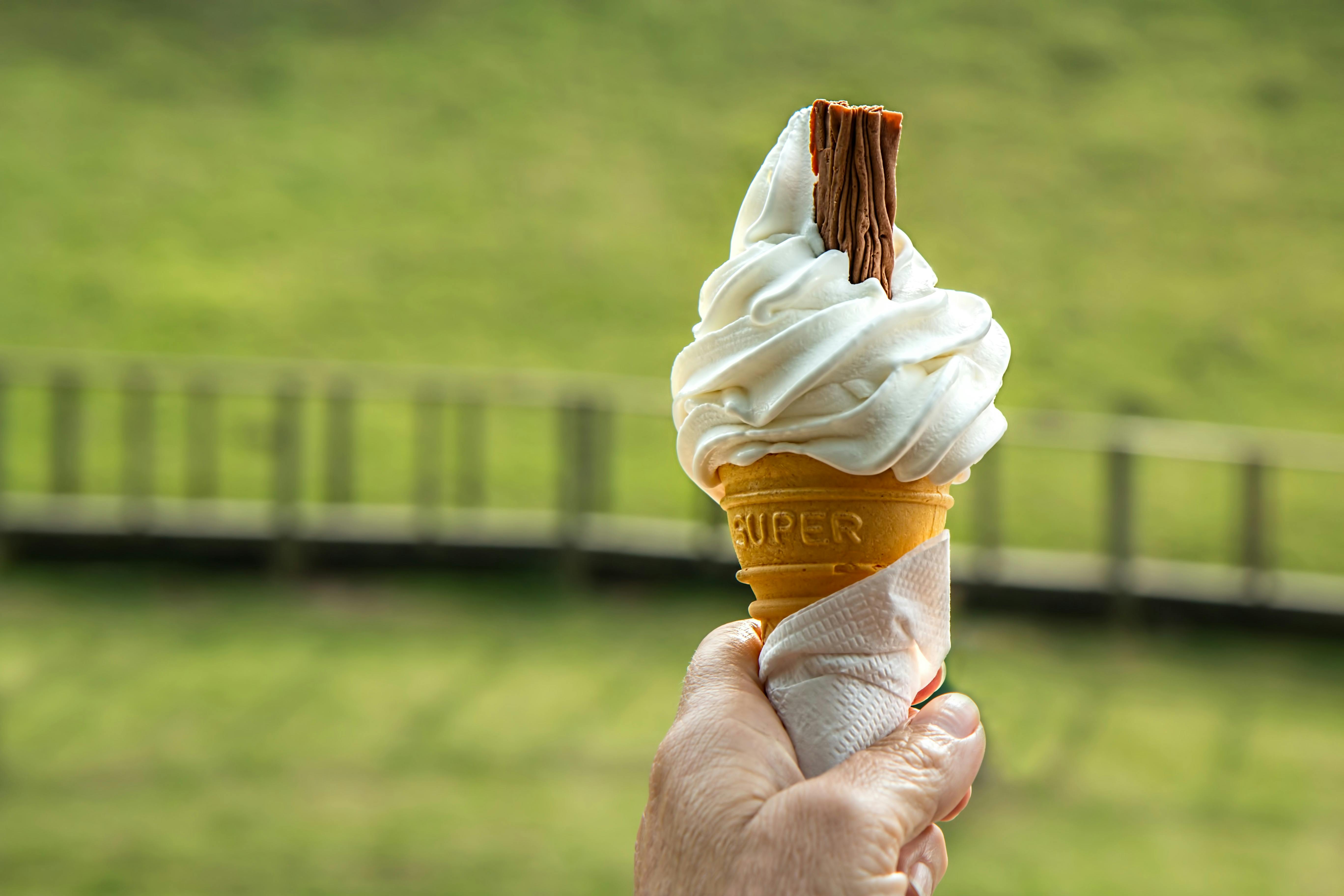 Homemade French Vanilla Ice Cream